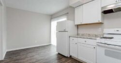 9808 Valley Meadow Pl, Dallas, TX 75220